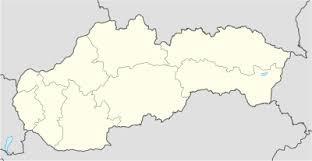 Zadanie 13. Na mapie konturowej podpisz państwa sąsiadujące ze Słowacją. Źródło: pl.wikipedia.org Zadanie 14. Oceń prawdziwość podanych zdań.