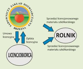 Hodowco zapoznaj się z Ustawą z dnia 26 czerwca 2003 r. dotyczącą OCHRONY PRAWNEJ ODMIAN ROŚLIN (DZ. U. Z 2003 R., NR 137, POZ. 1300 ZE ZM.) Art. 21.