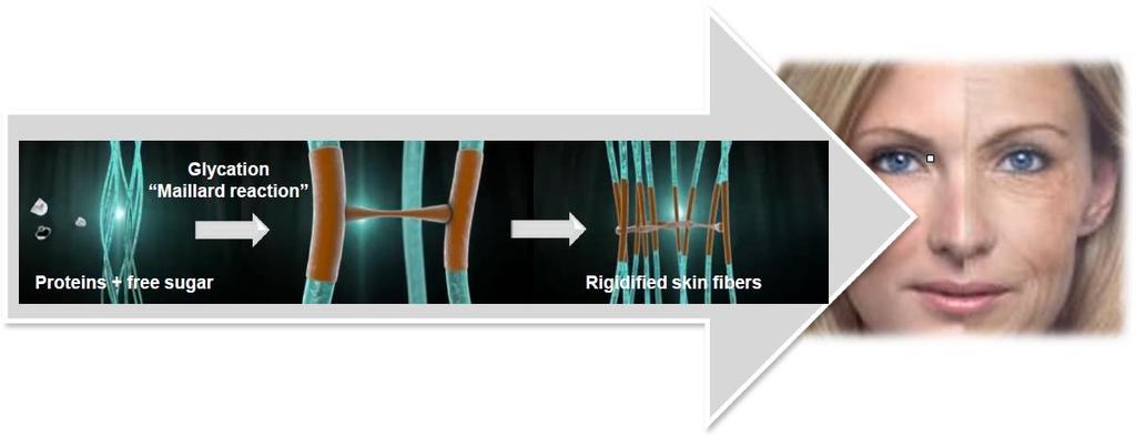 CZYM JEST GLIKACJA? Starzenie się skóry jest złożonym procesem, który obejmuje wiele reakcji prowadzących do zmniejszenia elastyczności skóry i pojawienia się zmarszczek.