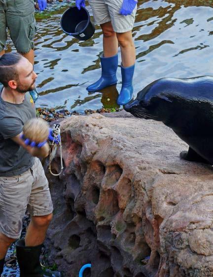 Foto: materiały prasowe Afrykarium/Wrocławskie zoo także syrenami, oraz liczne gatunki afrykańskich ptaków.