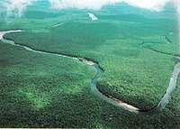 Nizina Orinoko Główną rzeką na nizinie jest Orinoko. Ujście rzeki tworzy deltę zajmującą 40 tys. km2. Pozostałe większe rzeki: Guaviare, Meta, Apure i Arauca.