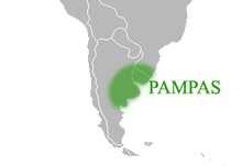 Nizina La Platy Pod względem klimatycznym Pampa jest krainą przejściową od klimatu podzwrotnikowego do umiarkowanego. Średnie roczne temperatury obniżają się ku południowi.