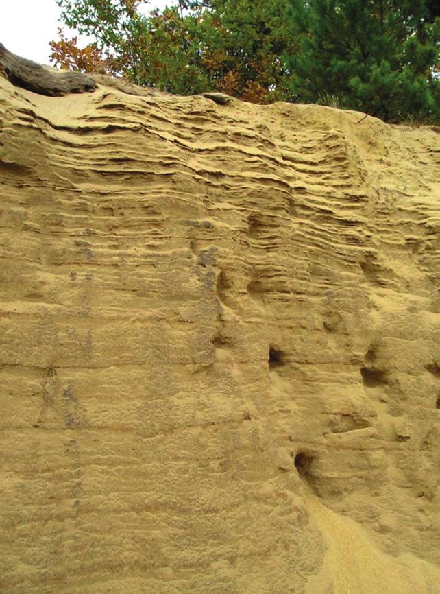 Geneza i wiek wydmy w Dąbrówkach 307 Obszar badań Forma objęta badaniami położona jest w dolinie Wisłoka, na skraju powierzchni terasy vistuliańskiej rozciągającej się na wysokości 8 10 m nad