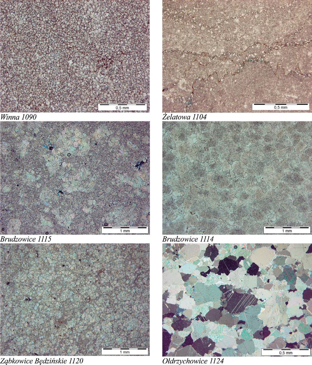 Fot. 1. Mikrofotografie reprezentatywnych, krajowych dolomitów, ujawniające zróżnicowaną wielkość ziaren.
