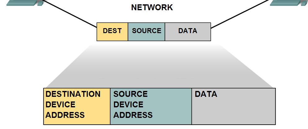 Addressing and Naming Schemes Describe examples of