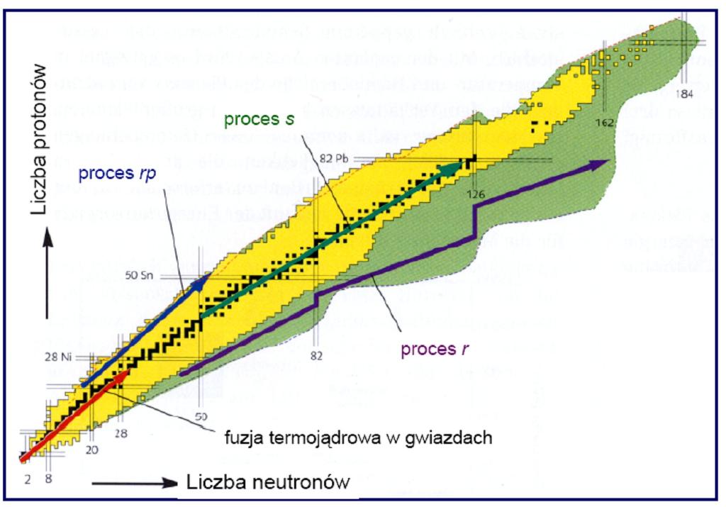 Jak powstały pierwiastki stabilne: -lekkie fuzja termojądrowa -cięższe procesy wolnego ( s ) i szybkiego ( r ) przyłączania neutronów i protonów ( rp ) zachodzące w gwiazdach i przy wybuchach