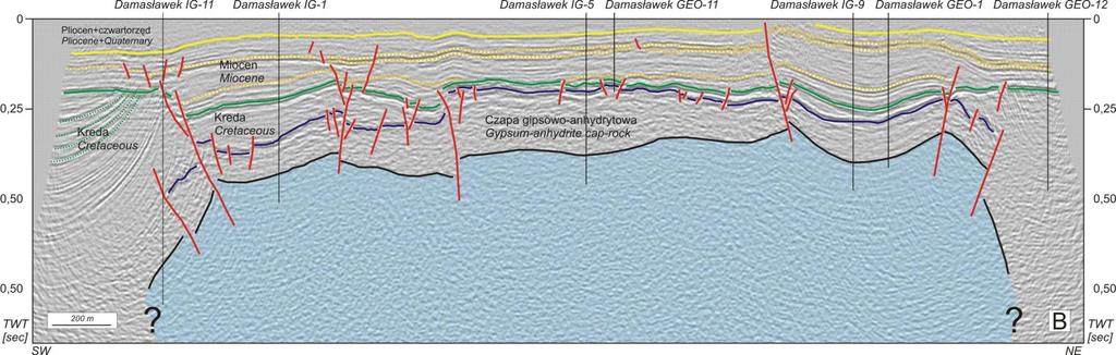 WYSAD SOLNY DAMASŁAWEK / DAMASŁAWEK SALT DIAPIR (Krzywiec, 2009) płytkie badania sejsmiczne wysadu solnego Damasławek zrealizowano na zlecenie Państwowej Agencji Atomistyki / shallow seismic studies