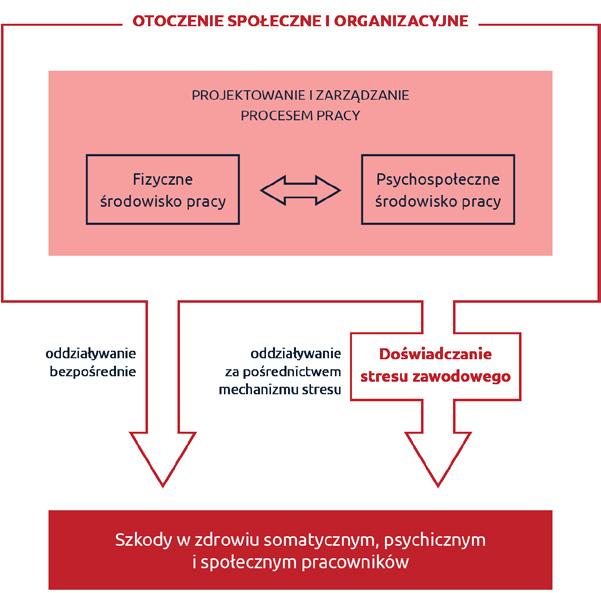 jemną relację czynniki ryzyka-zdrowie, przy czym w sytuacjach najbardziej ryzykownych działają one symultanicznie, wchodząc w interakcje w różnym zakresie i w różny sposób (Cox i Cox, 1993; Levi,