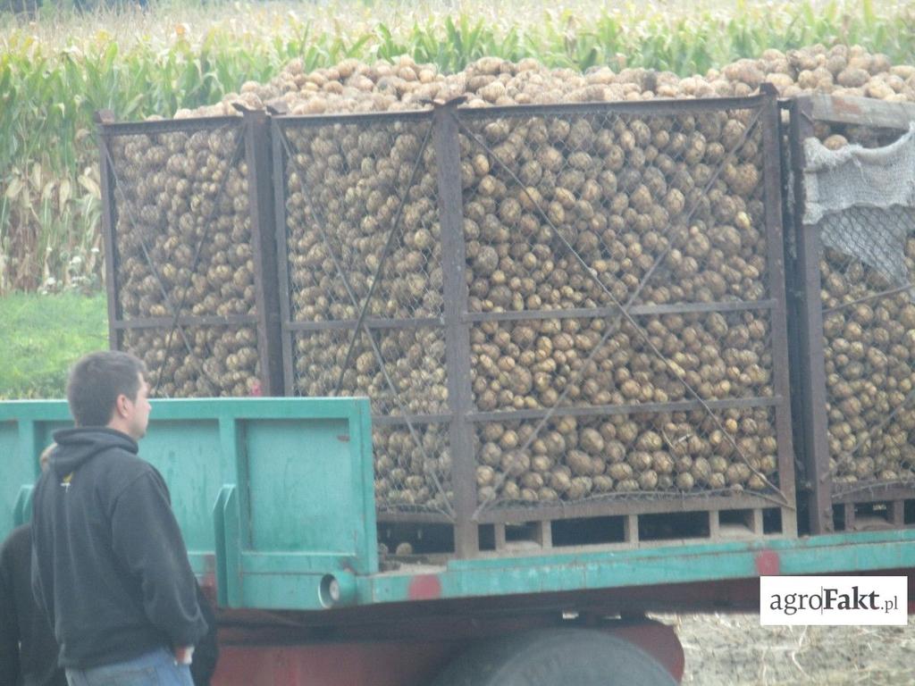 .pl Często rolnikom w pracach pomagają członkowie rodziny zamiast pracowników najemnych. Polacy, którzy mają możliwość pracy w rolnictwie na polu poza krajem, wolą wyjechać do pracy na 3 miesiące np.