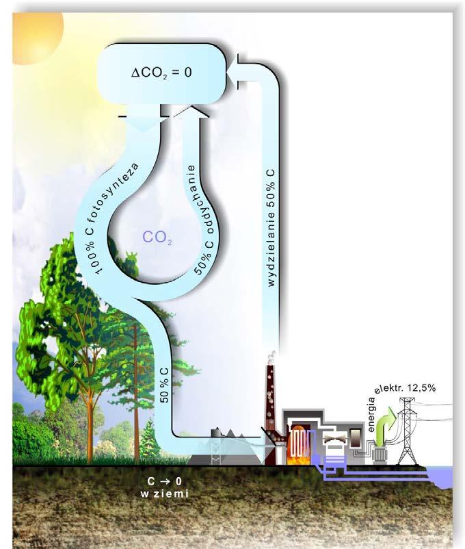 Bilans węgla w przyrodzie a spalanie