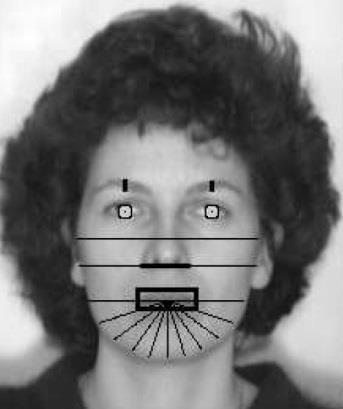 R. Brunelli, T. Poggio, Face Recognition through Geometrical Features, https://www.researchgate.net/publication/2716938 5.4.