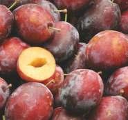 Skórka owoców błyszcząca, delikatna, barwy ciemno-wiśniowej przechodzącej w fioletowo-brązową.