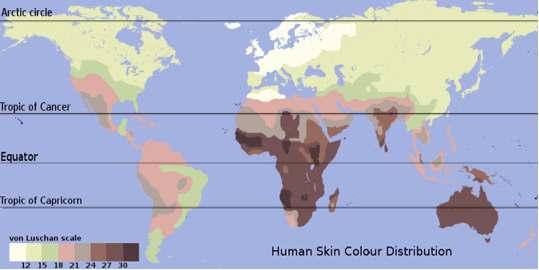 HOMO KONIEC epoki lodowej pigmentacja skóry Omo Kibish 195 tys lat Quafzeh 100 tys lat Jana 30 tys lat Monte Verde 14,8 tys lat