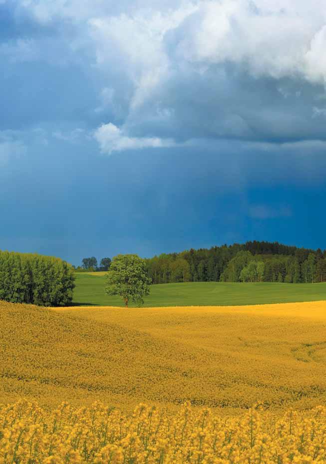 Spis treści Zwalczanie chwastów 8 Ochrona przed chorobami 16 Środki ochrony roślin Ochrona przed szkodnikami