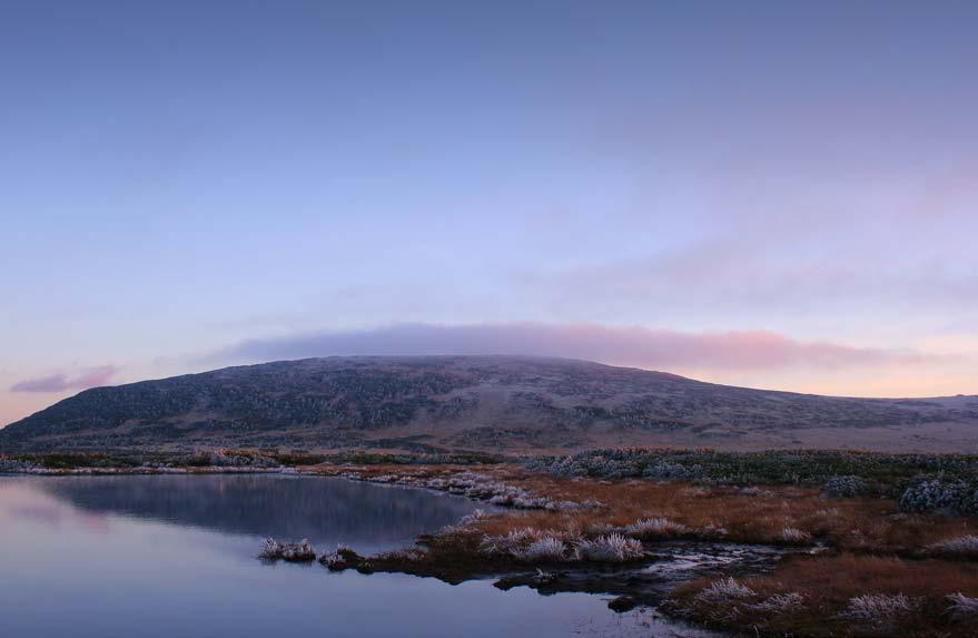 Fot. 15. Obszary na zrównaniach wierzchowinowych określane mianem tundry arktyczno-alpejskiej, przypominają krajobrazy północnej Skandynawii.
