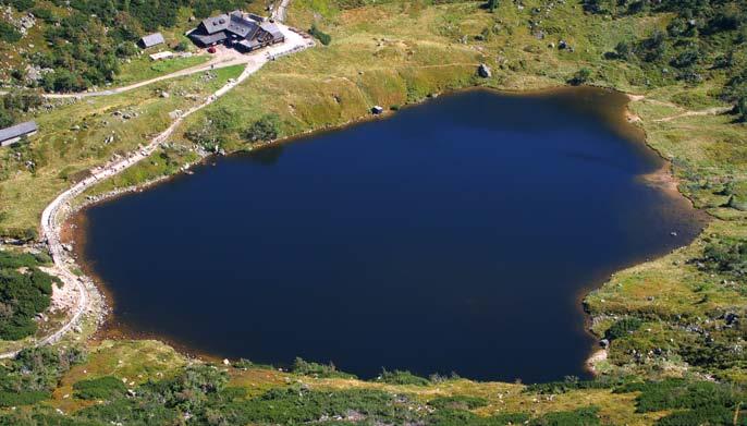 Występuje również w Małym Stawie na wysokości 1183m n.p.m. Jest to najwyżej położone stanowisko pstrąga potokowego w Karkonoskim Parku Narodowym.