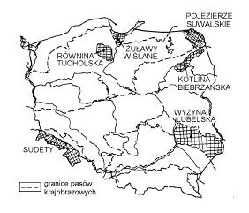 Zadanie 28. (5 pkt) Uzupełnij poniższe związki przyczynowo-skutkowe, tak aby przedstawiały schemat: Skała macierzysta typ gleby urodzajność wykorzystanie rolnicze (uprawy) Np.