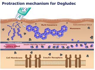 al. Diabetes 59 (Suppl.