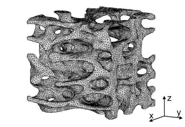 krawędzi równej 3,5 mm (rys.3). Zmodyfikowany model wykorzystano w dalszych obliczeniach, mając na uwadze kierunkowe własności kości beleczkowej.