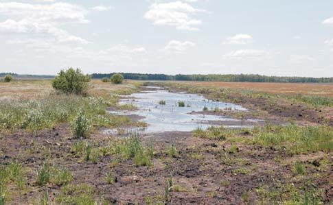 powierzchni wydzielenia (fot. 3), 2. tworzenia niewielkich stosów z gałęzi i czubów drzew po wykonanych trzebieżach w młodych i średniowiekowych drzewostanach sosnowych, 3.