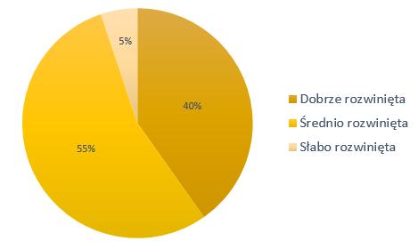 badanych, natomiast 5% stwierdziło, że infrastruktura turystyczna na wyspie jest słabo rozwinięta.