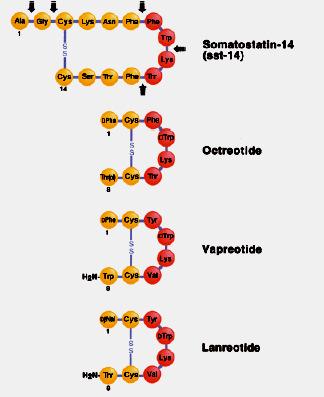 Biomolekuły terapeutyczne