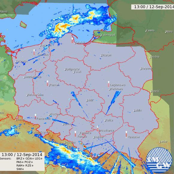 Zakłócenia i ograniczenia Poprzez zakłócenia należy rozumieć wszystkie niepożądane echa, cechy jego ułożenia oraz zaniżone lub zawyżone wartości odbiciowości, niebędące wynikiem naturalnego rozkładu