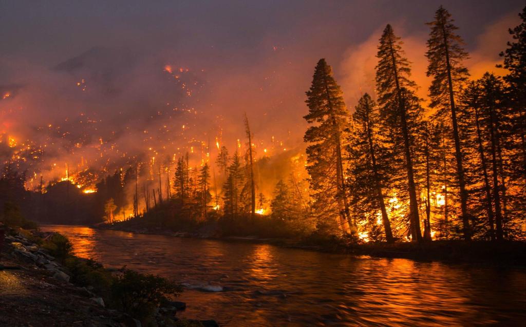 Konsekwencje pożarów lasu Wpływ pożaru na mikroklimat i stosunki wodne podwyższenie