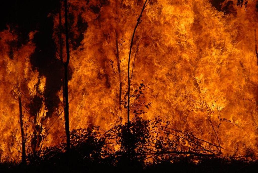 Wstęp Ryzyko powstania pożaru lasu