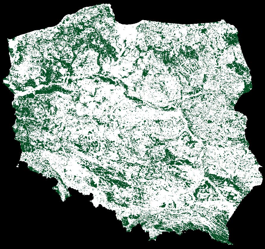 Wstęp Średnio rocznie około 10 mln ha lasów z zasobów światowych jest niszczone w różnym stopniu