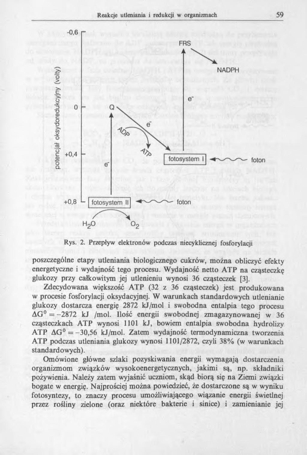 Rys. 2. Przepływ elektronów podczas niecyklicznej fosforylacji poszczególne etapy utleniania biologicznego cukrów, można obliczyć efekty energetyczne i wydajność tego procesu.