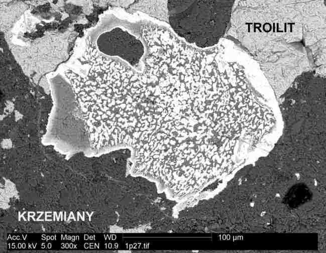 Fig. 6. Obraz BSE. Wietrzejące ziarno taenitu i tetrataenitu w otoczeniu krzemianów. W środku ziarna niezidentyfikowana wtórna faza wodorotlenków Fi-Ni (ciemniejsze plamki).