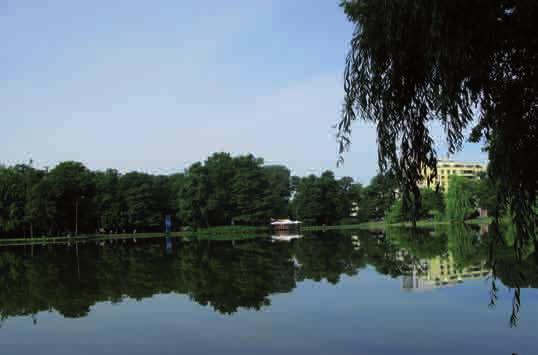 Latem tego roku udostępniono zaś Park Mazowsze położony w północnej części miasta (teren ten zwany jest potocznie Glinkami Hosera ).