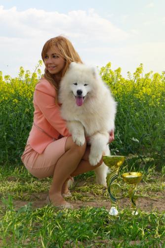 2016 Krajowa Wystawa Psów V Grupy FCI w Minikowie Paulina Adamska wystawiła na tej wystawie swojego psa rasy Samoyed o imieniu rodowodowym HONEY The Glow