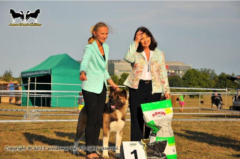 Suczka Redient SPIRIT OF VICTORY AT AMARTAMI Najlepsze Młodsze Szczenię w Rasie. 15.08.