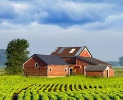 Ubezpieczenia obowiązkowe Obowiązkowe ubezpieczenie odpowiedzialności cywilnej rolników z tytułu posiadania gospodarstwa rolnego Obowiązkowe ubezpieczenie budynków wchodzących w skład gospodarstwa