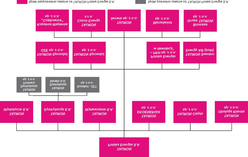 Rysunek nr 2. Struktura Grupy Kapita³owej TAURON, uwzglêdniaj¹ca spó³ki objête konsolidacj¹ na dzieñ 31 grudnia 2016 r. * W dniu 8 marca 2017 r.