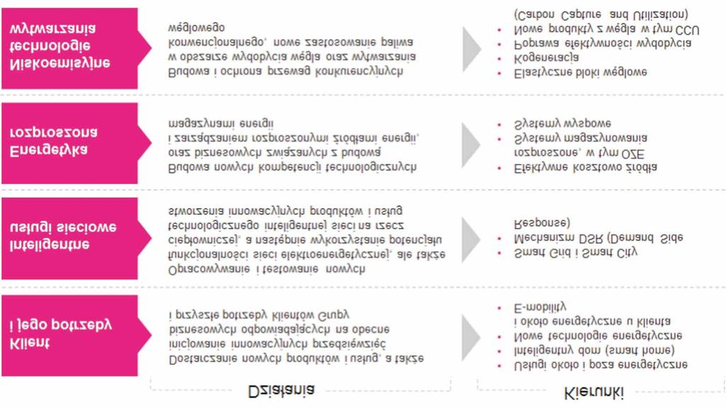 nowoczesne i zintegrowane kana³y sprzeda y oraz obs³ugi klienta (omnichannel i e-commerce) dostosowane do dzisiejszych najwy szych standardów.