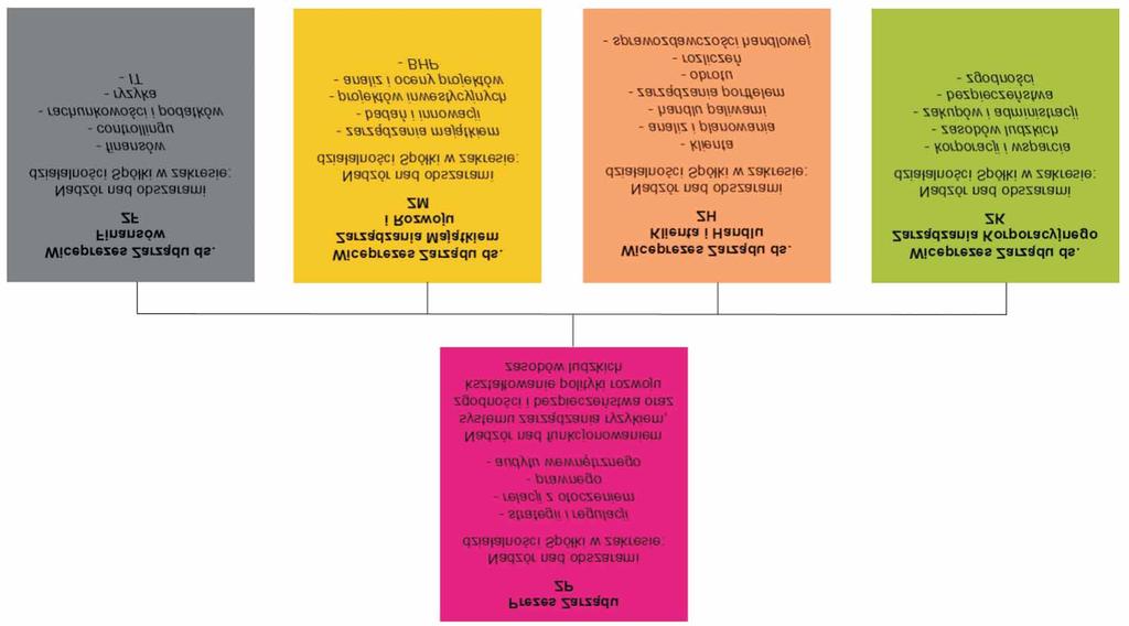 Odrêbnym rodzajem podleg³oœci jest podleg³oœæ projektowa, która ma charakter tymczasowy.