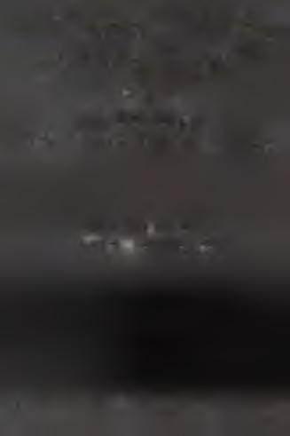 PA N C ER N Y C H M. S.