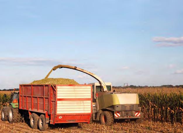 20 21 DKC 3509 FAO 240-250 ŚREDNIOWCZESNA BARDZO DOBRE ODDAWANIE WODY KISZONKA BADANIA ROZPOZNAWCZE COBORU 2013 PLON ZIARNA PRZY WILGOTNOŚCI 14% STACJA CHRZĄSTOWO DKC 3509 13,4 t/ha wzorzec 12,9