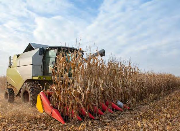 22 23 DKC 3717 FAO 240-250 ŚREDNIOWCZESNA BARDZO DOBRE ODDAWANIE WODY DOŚWIADCZENIA ŁANOWE MONSANTO POLSKA 2013 7 LOKALIZACJI Z 17 TESTOWANYMI ODMIANAMI REJONIZACJA UPRAWY DKC 3717 BARDZO DOBRZE