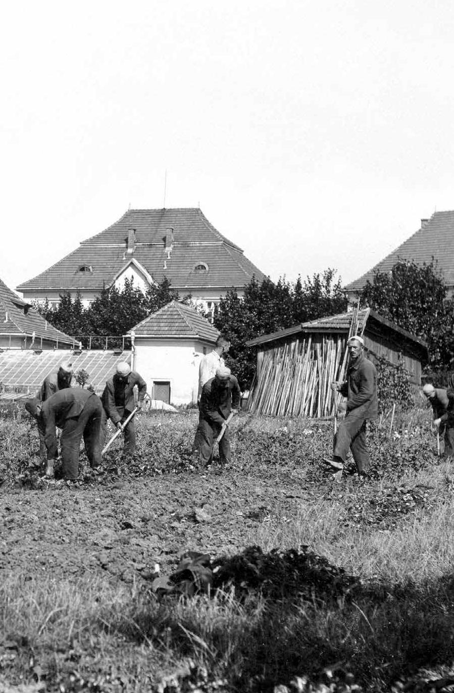 Część pierwsza: lata 1916