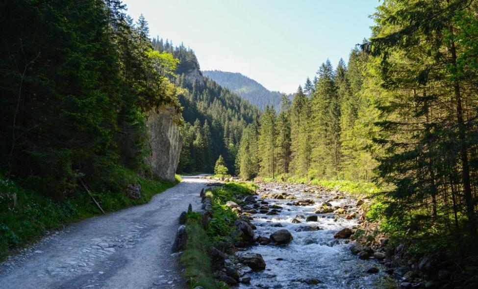 Malownicze otoczenie i widoki, bystre