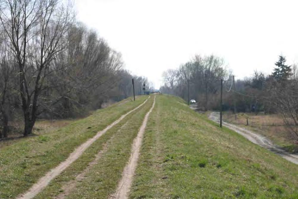 wschodnim (roślinność (po lewej - Widok