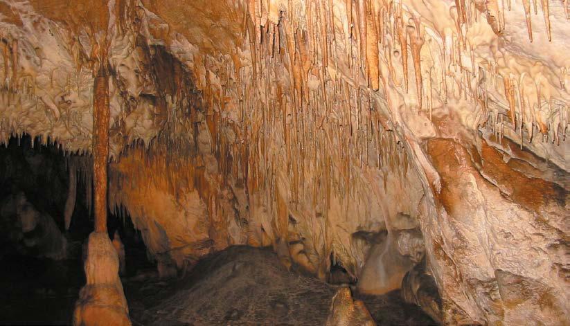 Atrakcje turystyczne w regionie Attrazioni Turistiche Jaskinia Raj jedna z najpiękniejszych jaskiń w Europie, z niezwykle bogatą szatą naciekową.