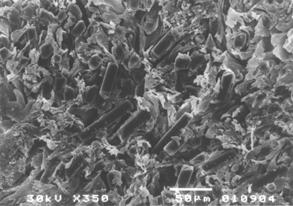 . Structure of PA5/PP5% + 3% glass fibre composite (35 and x): before annealing, after annealing Intensywność, imp.