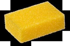 8 x 4 cm) / 25 szt Coarse sponge for insects