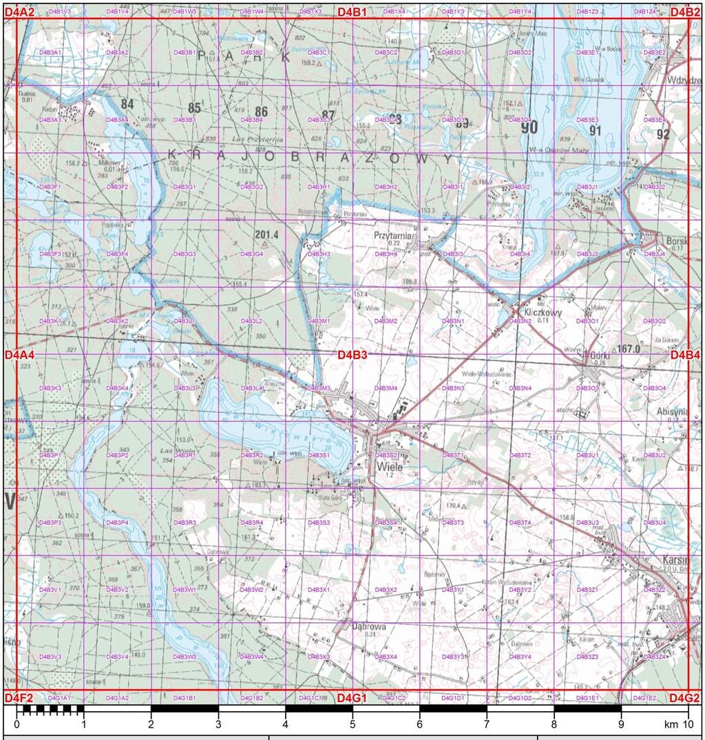 Rys. 2. Przykładowy wybór miejsc do skontrolowania w obrębie pow. 10x10 km.