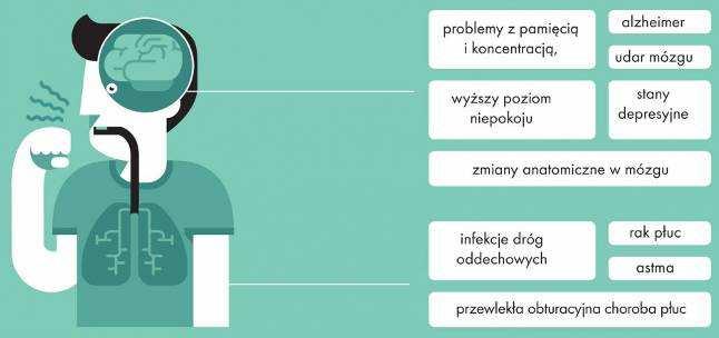 wielopierścieniowe węglowodory aromatyczne w czasie ciąży, tym mniejsza waga urodzeniowa, wzrost i obwód główki noworodka. Przekłada się to na słabszy rozwój intelektualny (strata średnio 3.8 pkt.